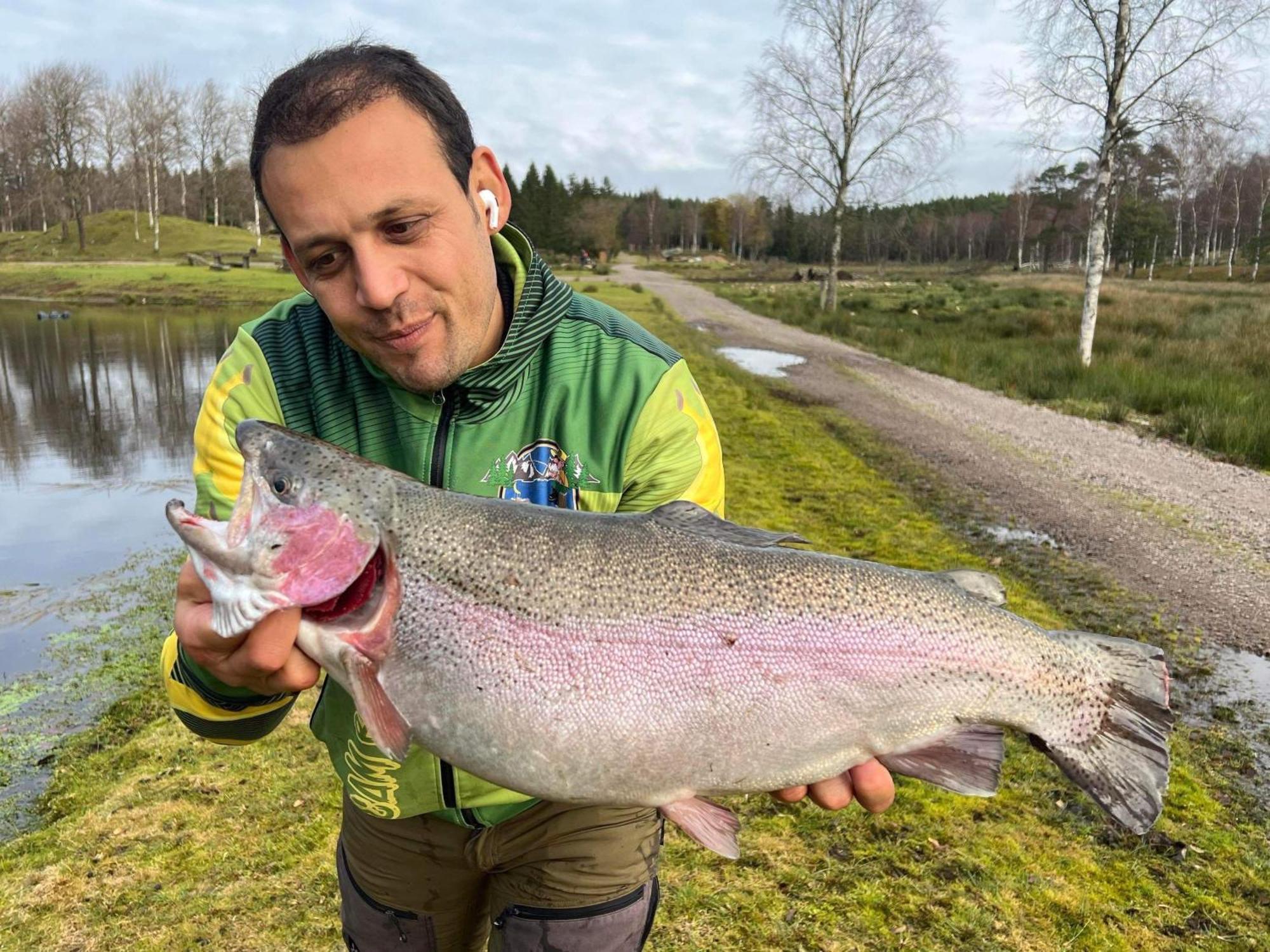 Stuga - Ulvereds Hjorthaegn Laholm Esterno foto